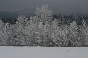 Bieszczady 12.2007 035